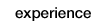 experience